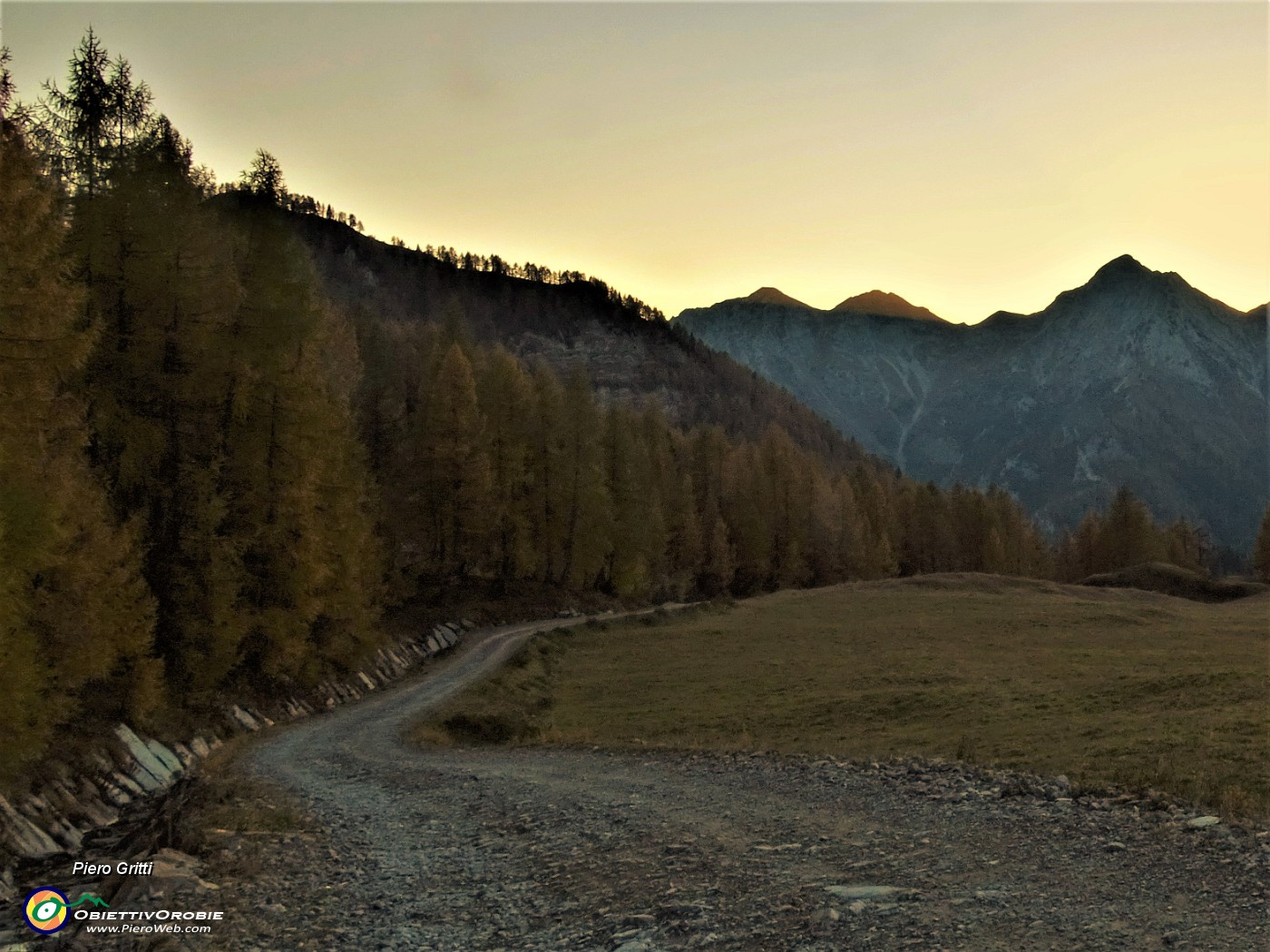 94 Filare di larici colorati d'autunno.JPG